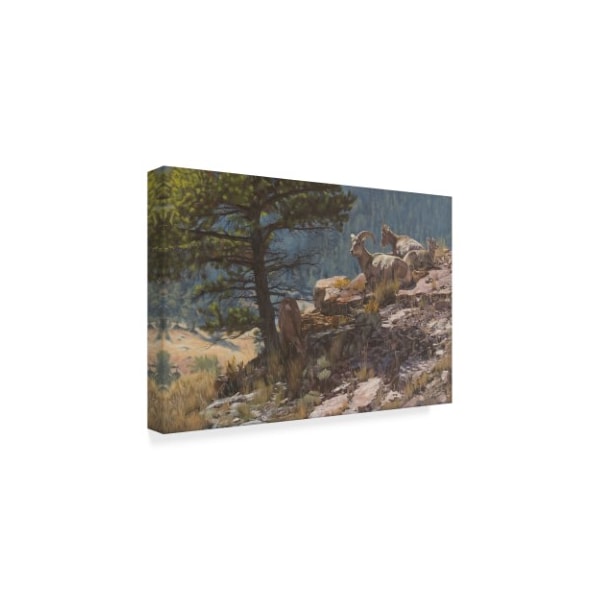 Rusty Frentner 'Mountains Goats' Canvas Art,12x19